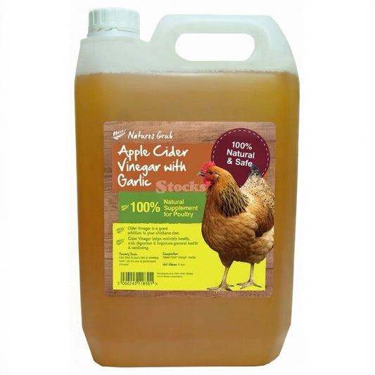 Apple Cider Vinegar with Garlic