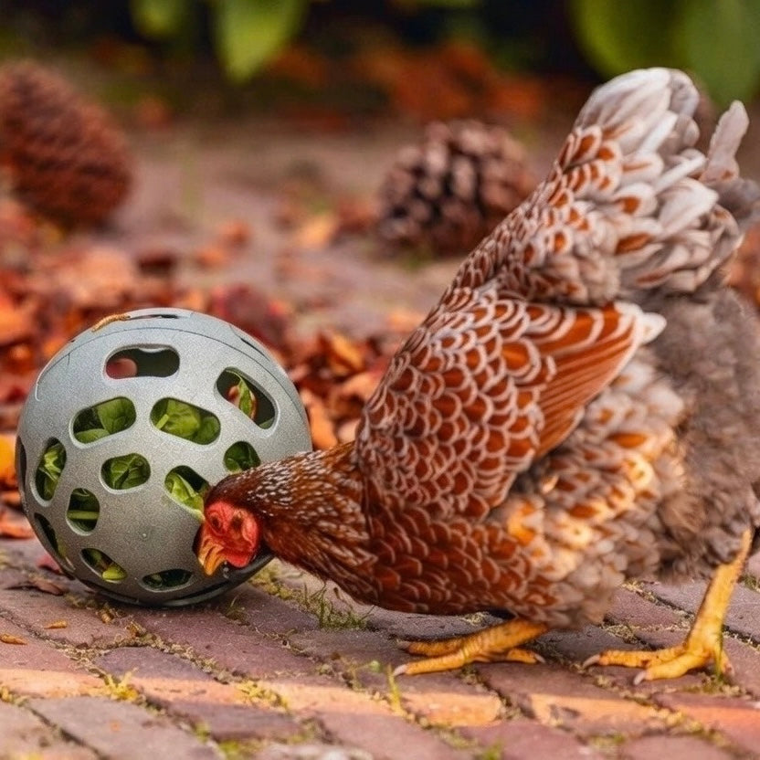 Beeztees Chicken Snack Ball