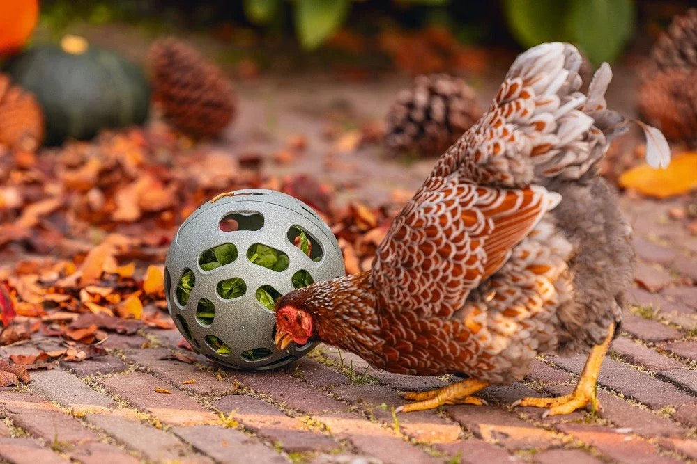 Beeztees Chicken Snack Ball