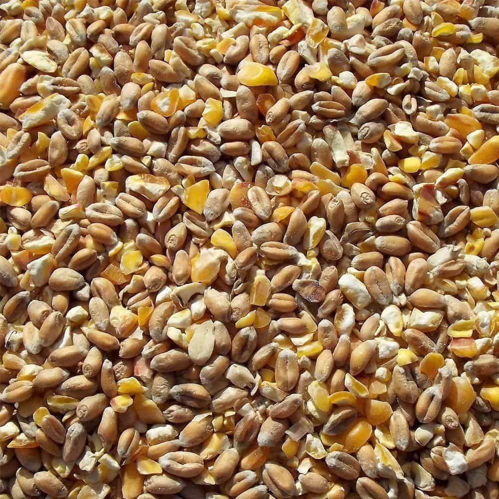 Mixed Corn, 20kg bag