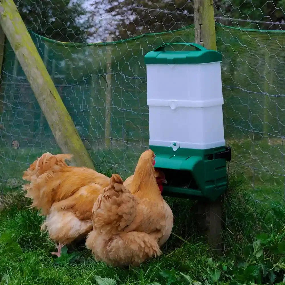 BEC Wall Mounted Wise Chicken Feeder