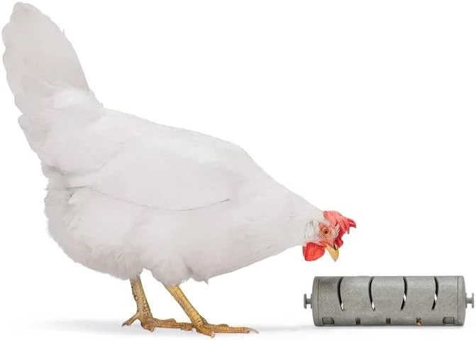 Beeztees Chicken Snack Roller